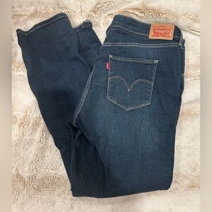 Levi's Denim Skinny Jeans